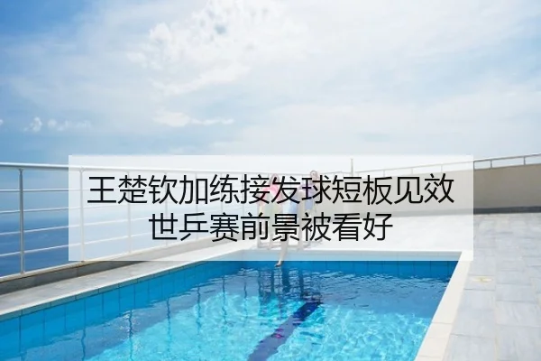 王楚钦加练接发球短板见效 世乒赛前景被看好
