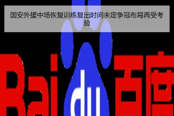 国安外援中场恢复训练复出时间未定争冠布局再受考验